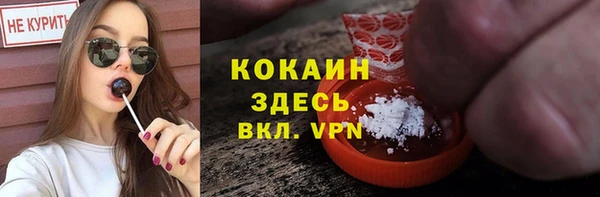 соль ск Белокуриха