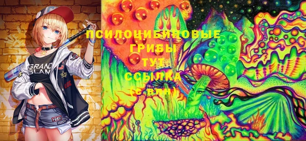 соль ск Белокуриха