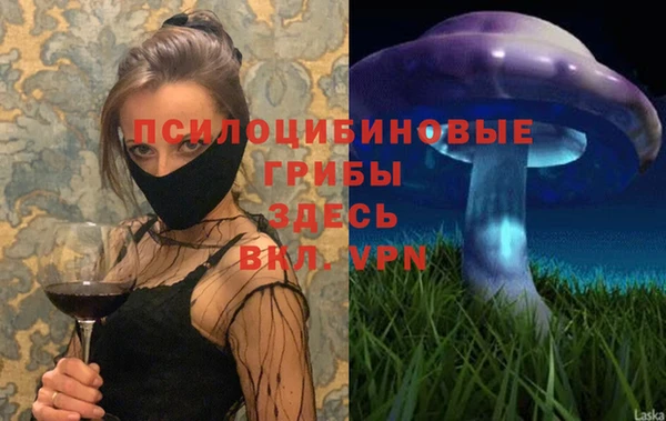 соль ск Белокуриха